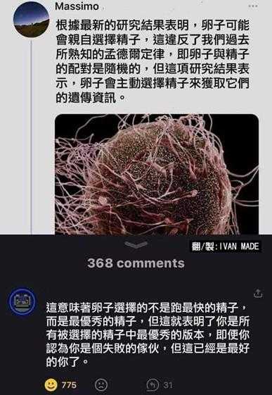 舔狗才是最懂女生的 囧图 大宝剑剑鞘掉Boss房了