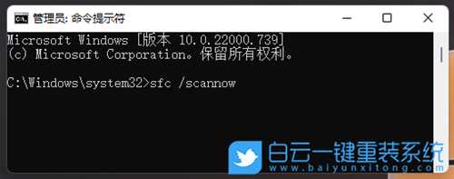 Win11系统所有设置打不开