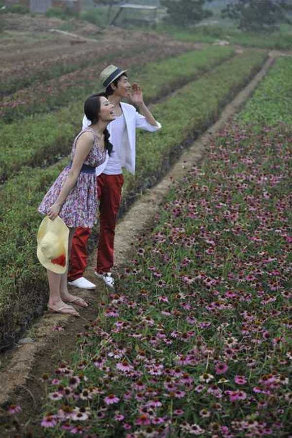 Photoshop为田间情侣图片调制出梦幻的淡紫色效果