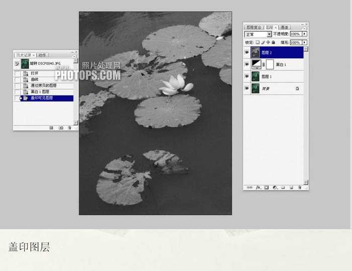 Photoshop将普通的荷叶图转成经典水墨画效果